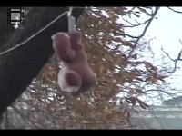 JavniPokusi-9.11.2005.16