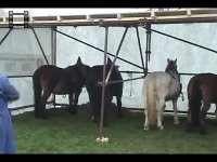 JavniPokusi-9.11.2005.2