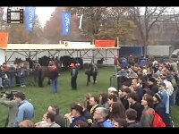 JavniPokusi-9.11.2005.20