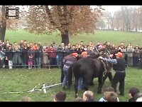 JavniPokusi-9.11.2005.22